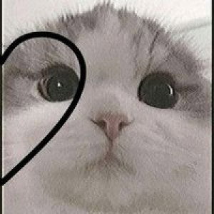 ฟ้า าา สมาย ยย profile icon