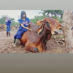 นิภาภรณ์ ทองสวัสดิ์ profile icon