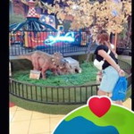 Mysarie profile icon