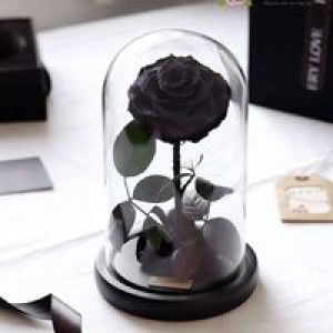 Ngô Thị Tuyết Minh profile icon