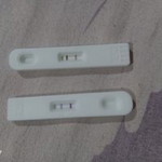 Lanie Galvero profile icon