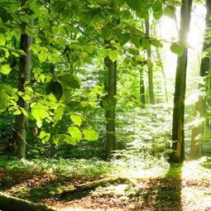 Ria Puspita profile icon