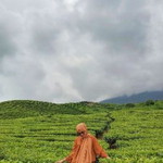 Nopa Sari profile icon