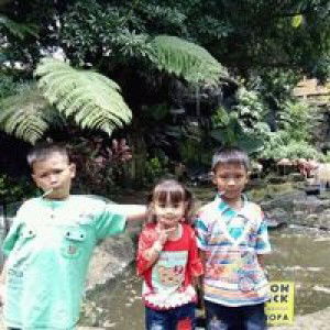 Ririn Sulistiyo profile icon