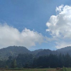 Karsita Dwi Murni profile icon