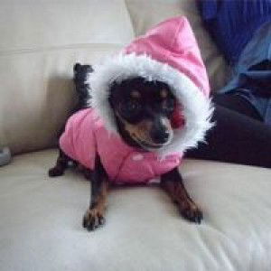 Jasmine Soh profile icon