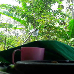 Vietha utami profile icon