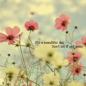 ABIGAIL IKASARI profile icon