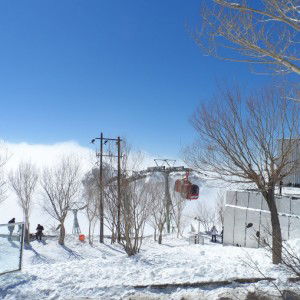 นุช profile icon