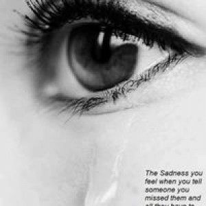 เซ ฮาย. profile icon