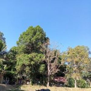 ชไมพร ชไมพร profile icon