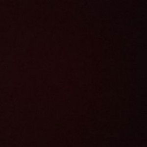 Prim Rose profile icon