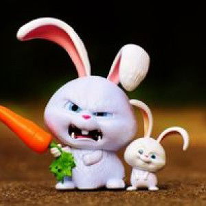 Suphatsara Saensong profile icon