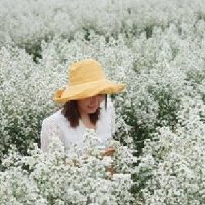 ต้นอ้อ ล้อลม profile icon