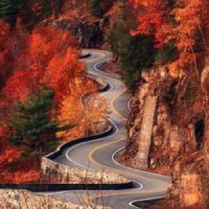 Ummu Shofiyyah profile icon