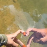 Nrl Aishah profile icon