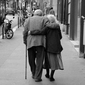 Camielia Leaf profile icon