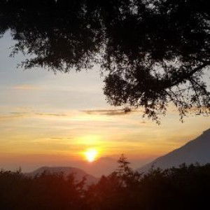 elisabethtlg profile icon