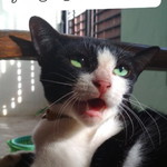 shienda setyawatie profile icon