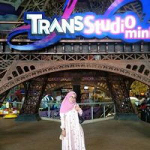 Laili Nur Anizar profile icon