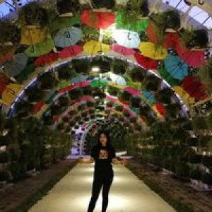 Pia Dawana profile icon