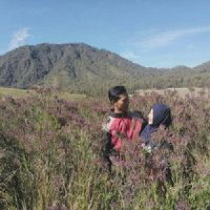 Heny Kusdianti profile icon