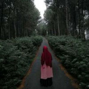 Daa Nasution profile icon