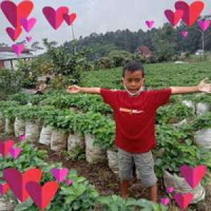 Umi Khosatun profile icon