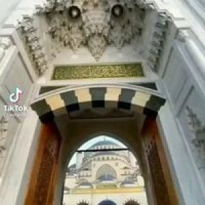 Mountain Cruella de Ville profile icon