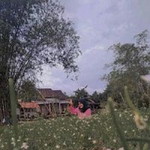 Iraa Nurr profile icon