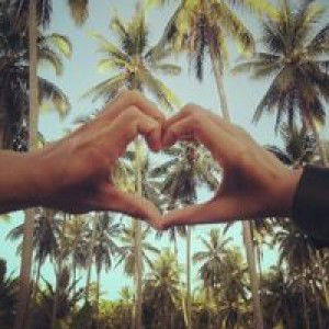 Elzie Zach profile icon