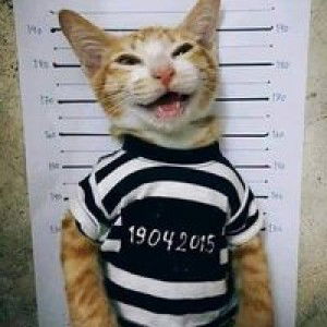 กาแฟ ไฟฟฟ. profile icon