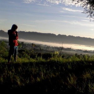 Hamdi Tekno profile icon