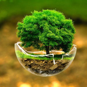 prem mathi profile icon