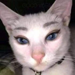 Inoue Gomez profile icon