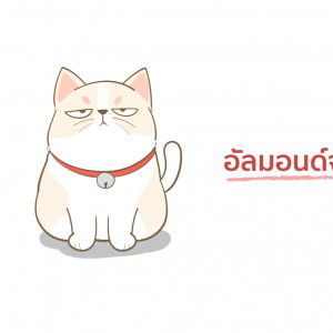 Chatrudee Kaewkasae profile icon
