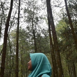 Elina Sari profile icon