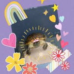 Joby Ong profile icon