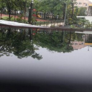 Muslimah Akhwat profile icon