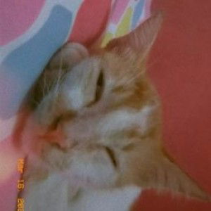 Mifta Hunisa firdani profile icon