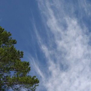 Yuni Yolanda profile icon