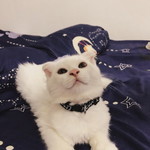 pawanprach Jantanaket profile icon