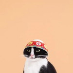 Kawaii kawaii profile icon