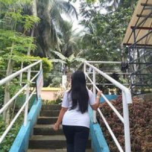 Cuina Ai Zaia profile icon