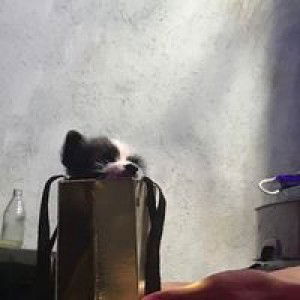 Ericka Jane lepanto profile icon