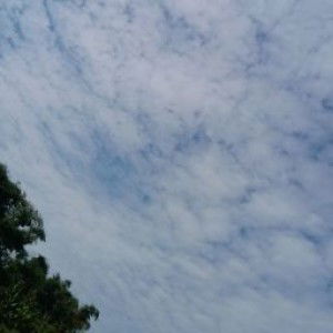 Sindy Nuraini profile icon