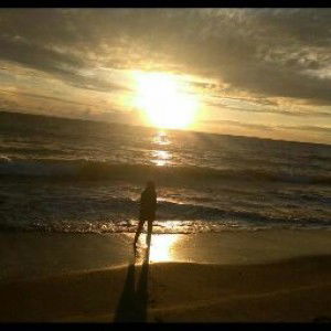 Nanda Subhan profile icon