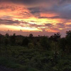 Reni Anggraeni profile icon