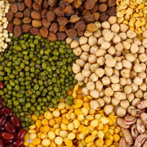 Phạm Nguyên profile icon