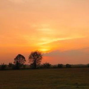 Anisa Putri profile icon